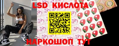 дживик Моздок