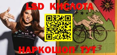 дживик Моздок