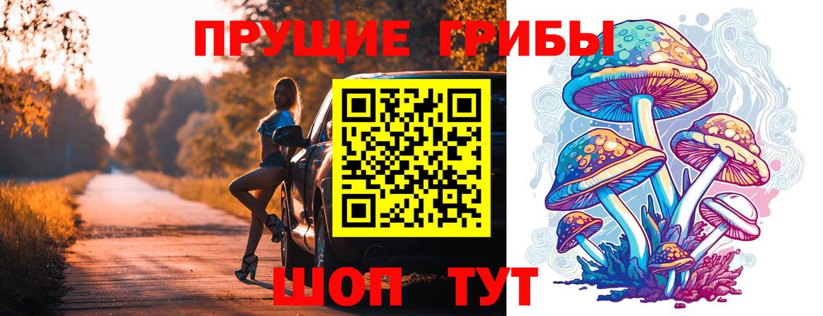 купить наркоту  Вход с VPN  Югорск  Галлюциногенные грибы MAGIC MUSHROOMS  Галлюциногенные грибы Magic Shrooms 